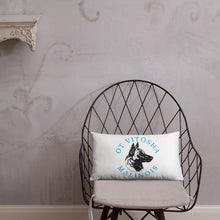 Load image into Gallery viewer, Ot Vitosha Pillow