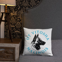 Load image into Gallery viewer, Ot Vitosha Pillow
