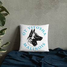 Load image into Gallery viewer, Ot Vitosha Pillow