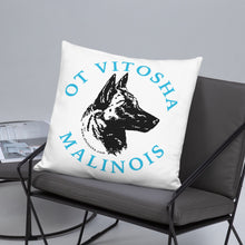 Load image into Gallery viewer, Ot Vitosha Pillow
