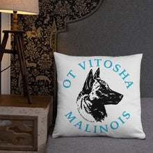 Load image into Gallery viewer, Ot Vitosha Pillow