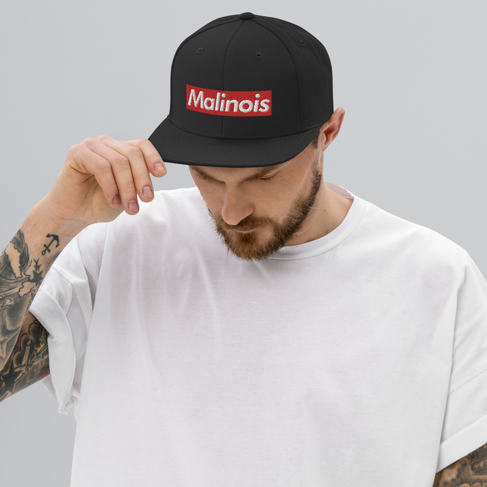 Ot Vitosha Malinois Box Logo Snapback