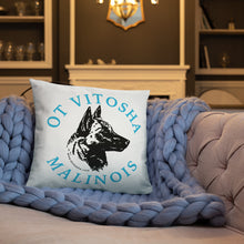 Load image into Gallery viewer, Ot Vitosha Pillow
