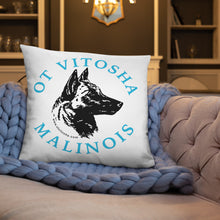 Load image into Gallery viewer, Ot Vitosha Pillow
